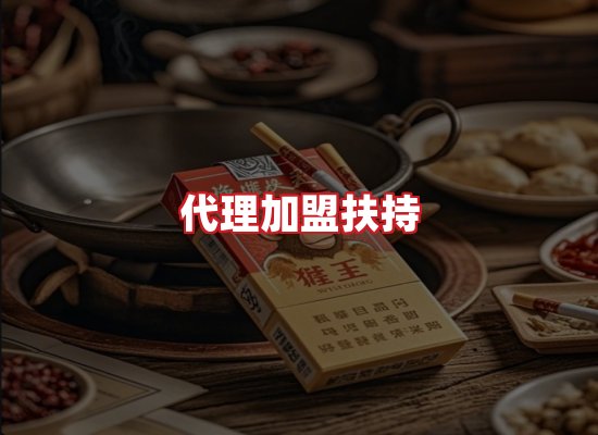 专业团队